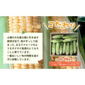 ふるさと納税 とうもろこし 茨城県 下妻市 訳...の詳細画像3