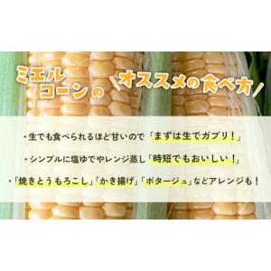 ふるさと納税 とうもろこし 茨城県 下妻市 訳...の詳細画像4