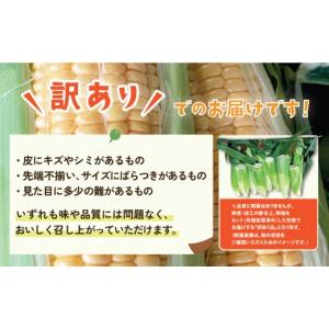 ふるさと納税 とうもろこし 茨城県 下妻市 訳...の詳細画像5