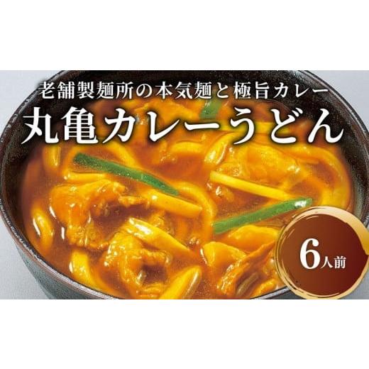ふるさと納税 うどん 生・半生めん 香川県 丸亀市 丸亀のカレーうどん 6人前 スープ付 本場の製麺...