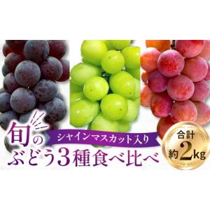 ふるさと納税 ぶどう マスカット 宮崎県 小林市 旬のぶどう３種食べ比べ アソート 計2kg程度（ シャインマスカット オーロラブラック・ピオーネ クイーンニー…