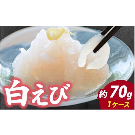 ふるさと納税 エビ 富山県 滑川市 白えび刺身 1ケース | 白エビ 白海老 シロエビ しろえび む...