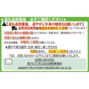 ふるさと納税 果物類 ぶどう 山梨県 南アルプ...の詳細画像3