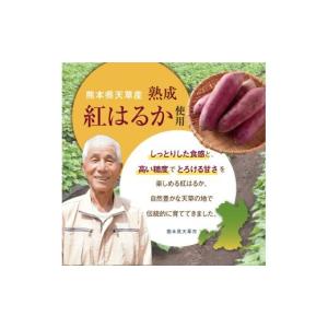 ふるさと納税 干し芋 熊本県 天草市 S050...の詳細画像3