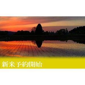 ふるさと納税 米 コシヒカリ 新潟県 南魚沼市...の詳細画像4