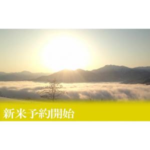 ふるさと納税 米 コシヒカリ 新潟県 南魚沼市...の詳細画像5