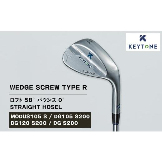 ふるさと納税 ゴルフグッズ クラブ 栃木県 鹿沼市  DG S200 KEYTONE SCREW T...