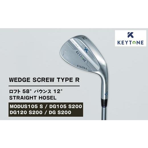 ふるさと納税 ゴルフグッズ クラブ 栃木県 鹿沼市  DG S200 KEYTONE SCREW T...