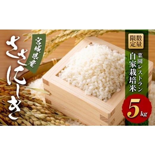 ふるさと納税 米 ササニシキ 宮城県 美里町  令和6年産 数量限定 菜園レストラン「野の風」自家栽...