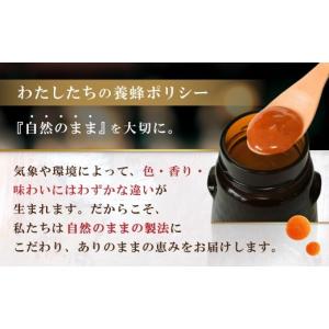 ふるさと納税 加工品等 はちみつ 愛知県 西尾...の詳細画像4
