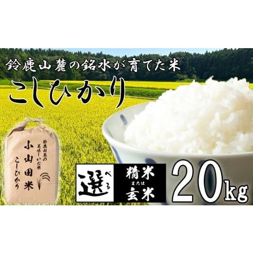 ふるさと納税 米 コシヒカリ 三重県 四日市市 令和7年度先行予約 こしひかり 20kg 鈴鹿山麓...