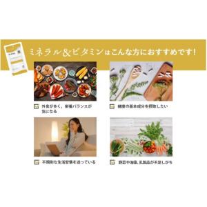 ふるさと納税 健康食品 大阪府 東大阪市 d’...の詳細画像3
