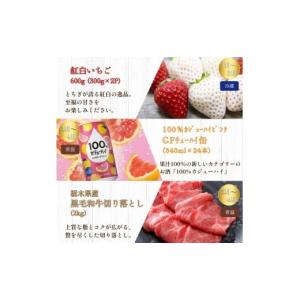 ふるさと納税 いちご 栃木県 下野市 栃木 決...の詳細画像4