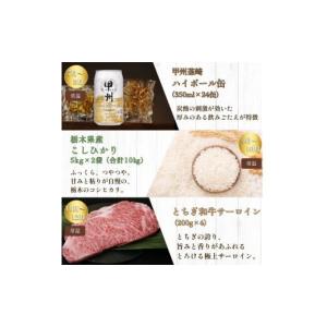 ふるさと納税 いちご 栃木県 下野市 栃木 決...の詳細画像5