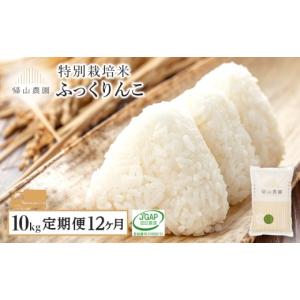 ふるさと納税 米 北海道 知内町 12カ月定期便...の商品画像