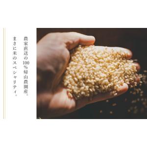 ふるさと納税 玄米 北海道 知内町 12カ月定...の詳細画像2