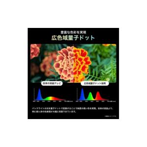 ふるさと納税 TV・オーディオ・カメラ 神奈川...の詳細画像5