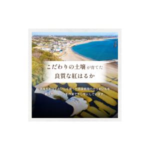 ふるさと納税 干し芋 茨城県 ひたちなか市 ヒ...の詳細画像2