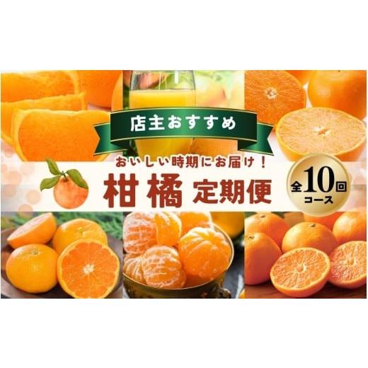 ふるさと納税 果物類 みかん 三重県 紀宝町  全10回 柑橘 定期便 石本果樹園 店主おすすめの柑...