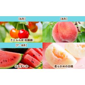 ふるさと納税 果物類 さくらんぼ 山形県 山形...の詳細画像2