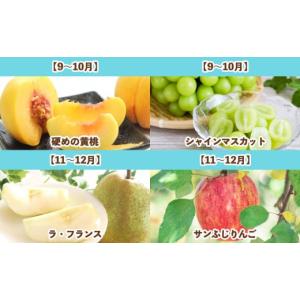 ふるさと納税 果物類 さくらんぼ 山形県 山形...の詳細画像3