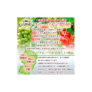 ふるさと納税 果物類 さくらんぼ 山形県 山形...の詳細画像4