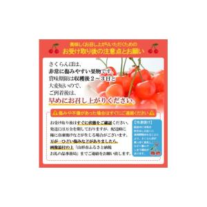 ふるさと納税 果物類 さくらんぼ 山形県 山形...の詳細画像5