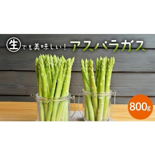 ふるさと納税 野菜類 アスパラガス 茨城県 桜川市 茨城県産 アスパラガス 800g 野菜 新鮮 フ...