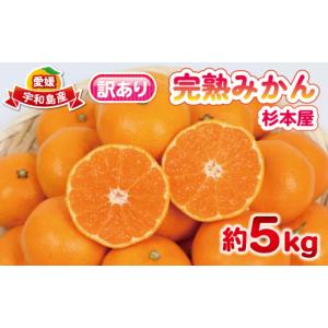 ふるさと納税 果物類 みかん 愛媛県 宇和島市 ...の商品画像