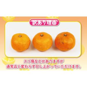ふるさと納税 果物類 みかん 愛媛県 宇和島市...の詳細画像2