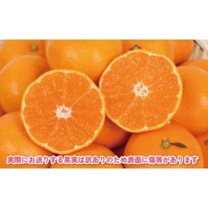 ふるさと納税 果物類 みかん 愛媛県 宇和島市...の詳細画像3