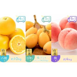 ふるさと納税 果物の詰合せ 香川県 坂出市 全...の詳細画像3