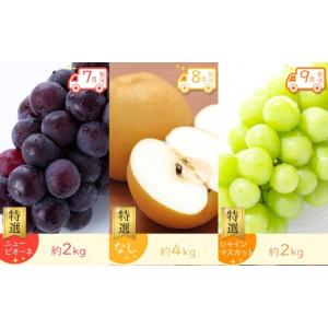ふるさと納税 果物の詰合せ 香川県 坂出市 全...の詳細画像4