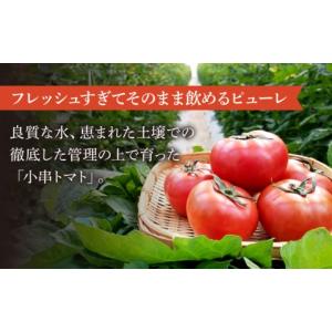 ふるさと納税 塩・だし 長崎県 川棚町 12回...の詳細画像4