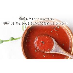 ふるさと納税 塩・だし 長崎県 川棚町 12回...の詳細画像5