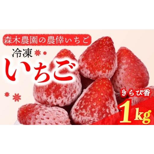 ふるさと納税 いちご 静岡県 牧之原市  冷凍 いちご 苺 1kg以上 完熟 きらぴ香 ヘタ取り い...