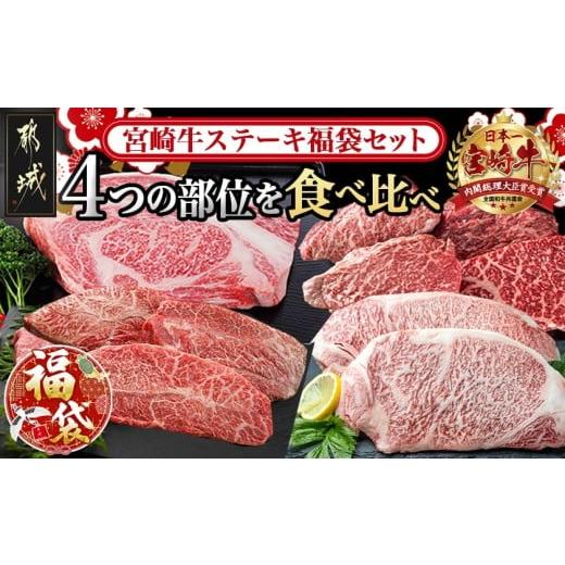 ふるさと納税 牛肉 セット 宮崎県 都城市  福袋 2026 宮崎牛ステーキ福袋セット_AF-250...