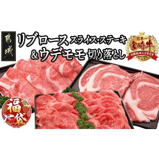 ふるさと納税 牛肉 ステーキ 宮崎県 都城市  福袋 2026 宮崎牛すき焼き ステーキ 霜降りリブ...