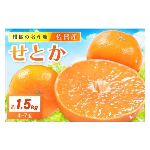 ふるさと納税 みかん・柑橘類 佐賀県 伊万里市 佐賀産 柑橘類 せとか 約1.5kg （4〜7玉） ...