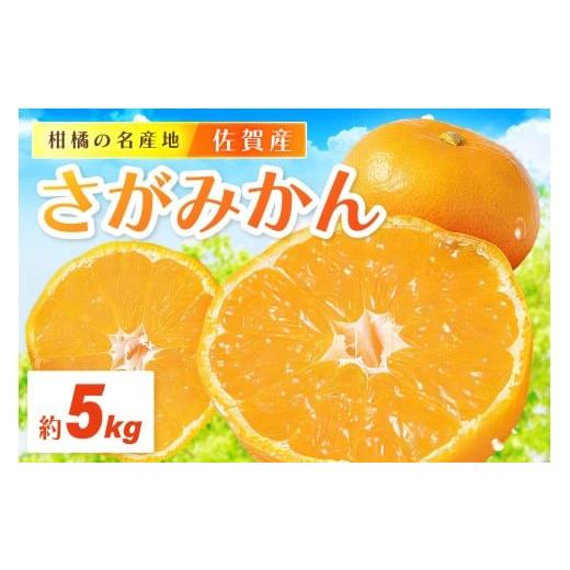 ふるさと納税 果物類 みかん 佐賀県 伊万里市 佐賀産さがみかん 約5kg箱 (伊万里市) 柑橘類 ...