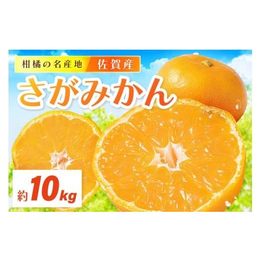 ふるさと納税 果物類 みかん 佐賀県 伊万里市 佐賀産 さがみかん 約10kg箱 (伊万里市) 柑橘...