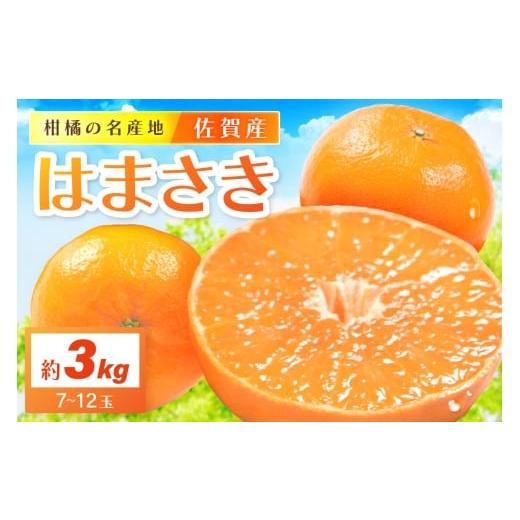 ふるさと納税 みかん・柑橘類 佐賀県 伊万里市 佐賀産 柑橘 「はまさき」 約3kg 箱 (7-12...