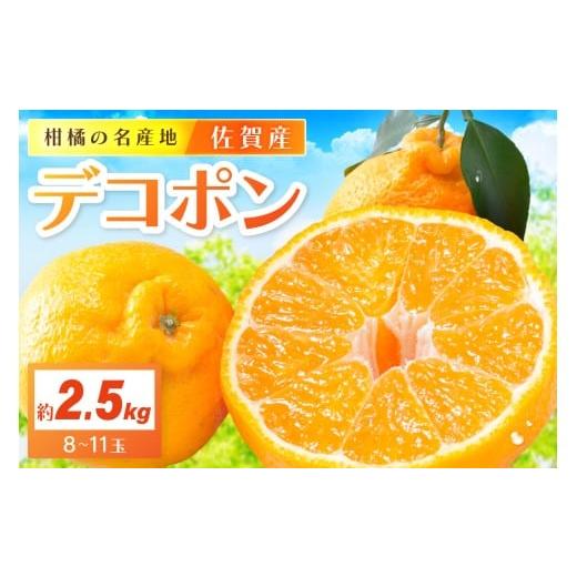 ふるさと納税 みかん・柑橘類 デコポン 佐賀県 伊万里市 佐賀産 デコポン 約2.5kg (8-11...
