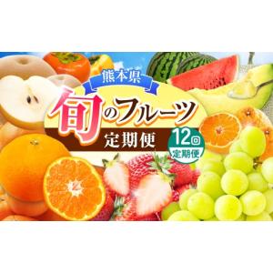 ふるさと納税 果物の詰合せ 熊本県 玉名市 定...の詳細画像1
