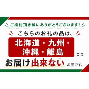 ふるさと納税 果汁飲料 りんご 栃木県 矢板市...の詳細画像2