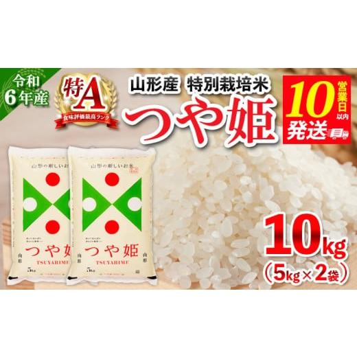 ふるさと納税 米 つや姫 山形県 山形市 10営業日以内発送 令和6年産 山形産 特別栽培米 つや...