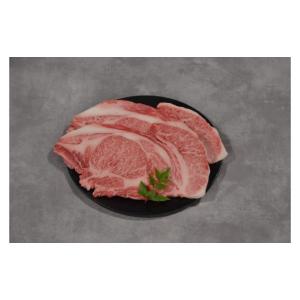 ふるさと納税 牛肉 セット 鳥取県 八頭町 鳥...の詳細画像4