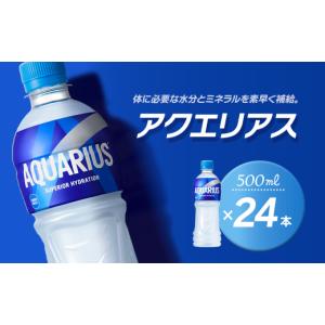 ふるさと納税 水・ミネラルウォーター 500m...の詳細画像1