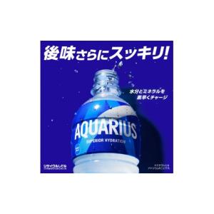 ふるさと納税 水・ミネラルウォーター 500m...の詳細画像2