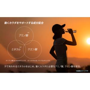 ふるさと納税 水・ミネラルウォーター 500m...の詳細画像5